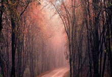 里尔主场告胜，追赶前列球队