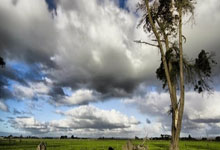 独木舟比赛惊险刺激，加拿大选手勇夺金牌