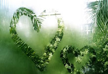 达拉斯小牛队斗志昂扬击败强敌，赢得掌声