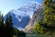 大牌球员突然宣布退役引发热议：告别赛场，谁是下一个传奇？