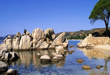 陕西男篮意欲取得胜利，士气高涨